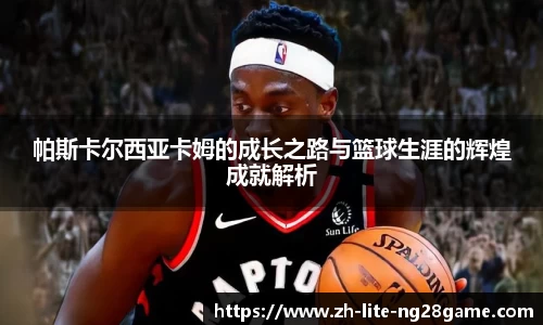 关键词4